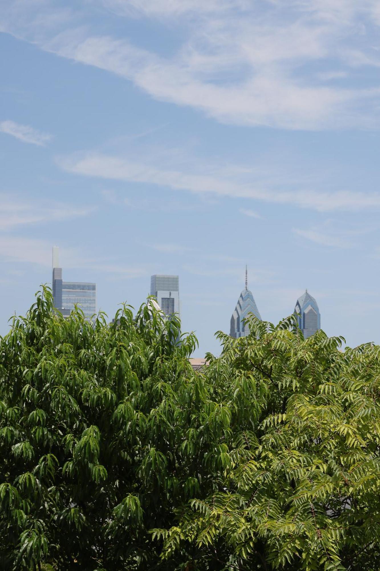 Peaceful Zen Getaway In The City ฟิลาเดลเฟีย ภายนอก รูปภาพ